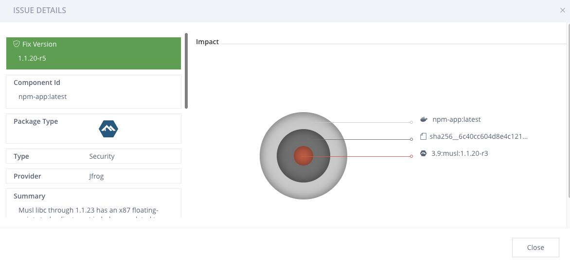 Npm Build Xray Detail Versions